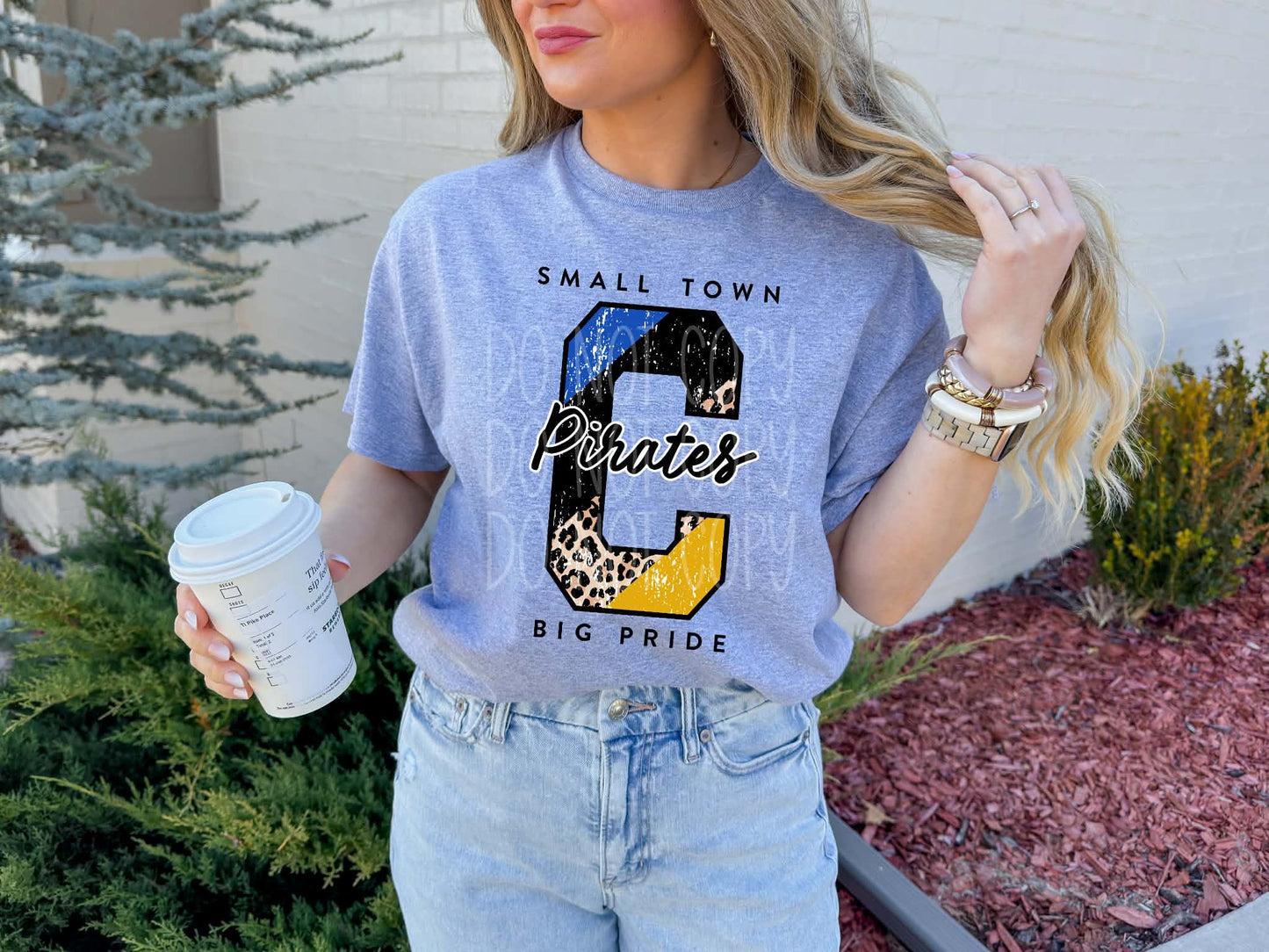 Cedarville Pirates Small Town Big Pride Tee