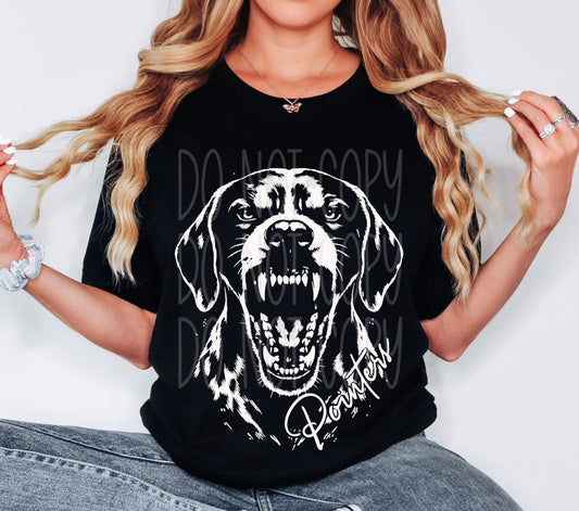 Aggressive Pointers  Tee