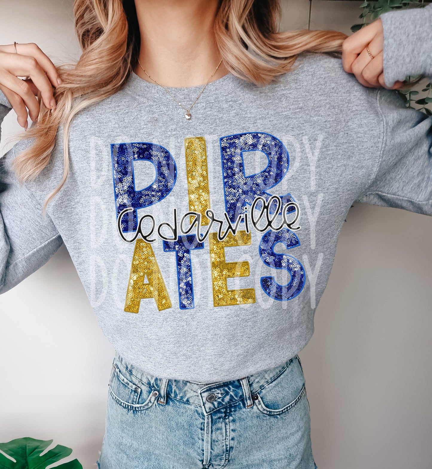 Faux Sequins (NOT REAL SEQUINS) Cedarville Pirates Tee