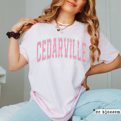 Preppy Cedarville Tee