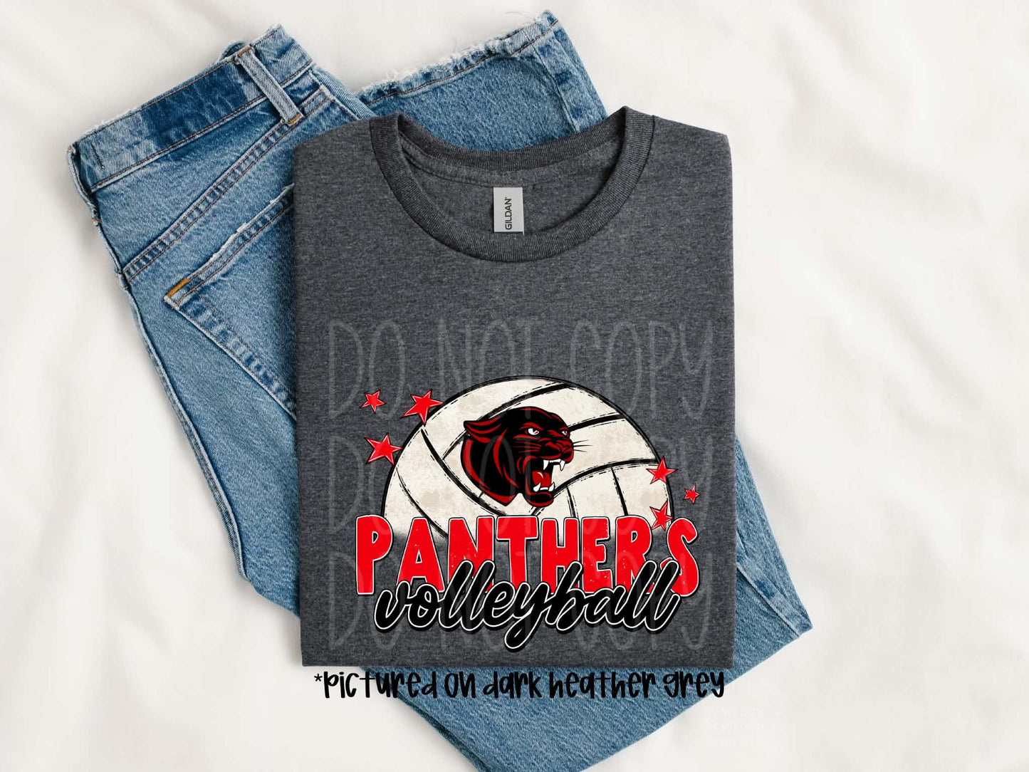 Volleyball Panthers