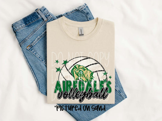 Volleyball Airedales