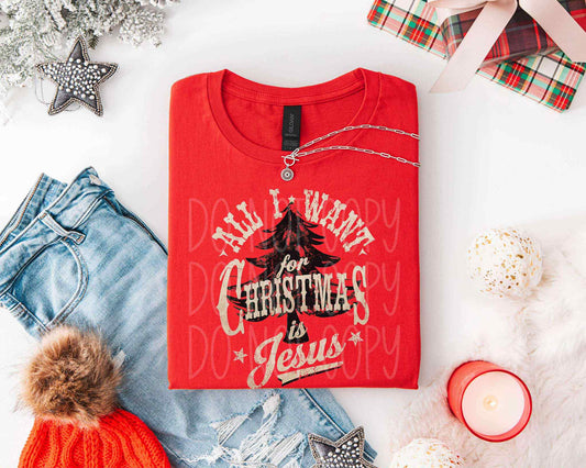 All I Want For Christmas Is Jesus Tee